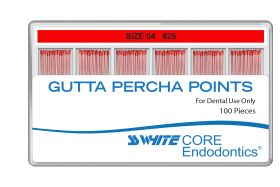 SSW CORE GUTTA PERCHA .04 25MM - 60 PACK
