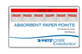 SSW CORE PAPER POINT .04 25MM - 100 PACK